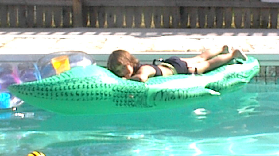 alligator.jpg